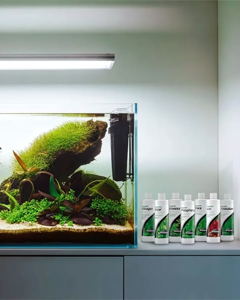 A high-quality product shot featuring a row of diverse liquid fertilizer bottles placed next to a thriving, lush planted aquarium tank.